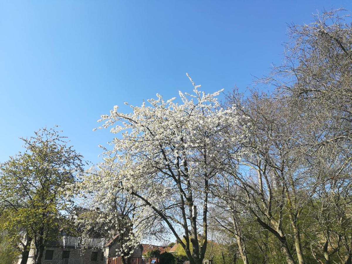 B&B De Dubbelmolen โตงเงอเริน ภายนอก รูปภาพ