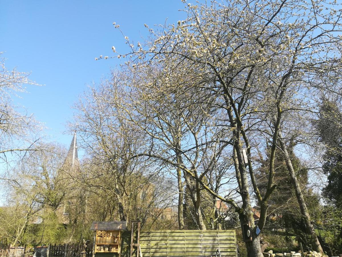 B&B De Dubbelmolen โตงเงอเริน ภายนอก รูปภาพ